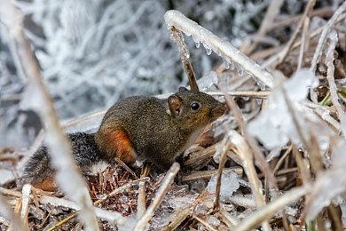 育碧《波斯王子：失落王冠》新预告 游戏预购已开启